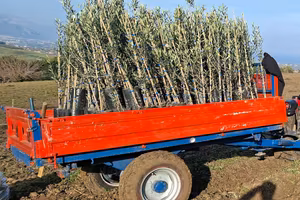 carrello agricolo Agueli 