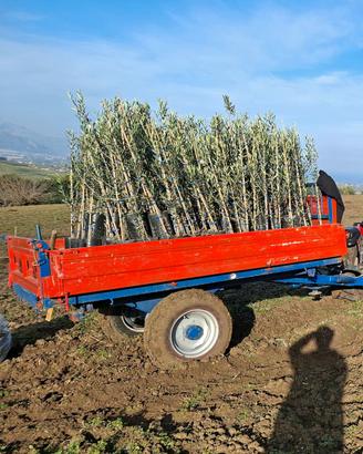 carrello agricolo Agueli 