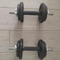 Coppia di manubri con pesi