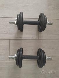 Coppia di manubri con pesi