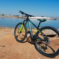 Mountain bike