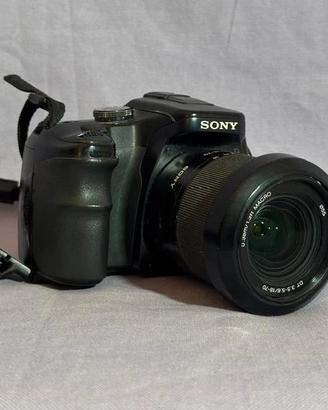 Sony Alpha 100 con 2 obiettivi