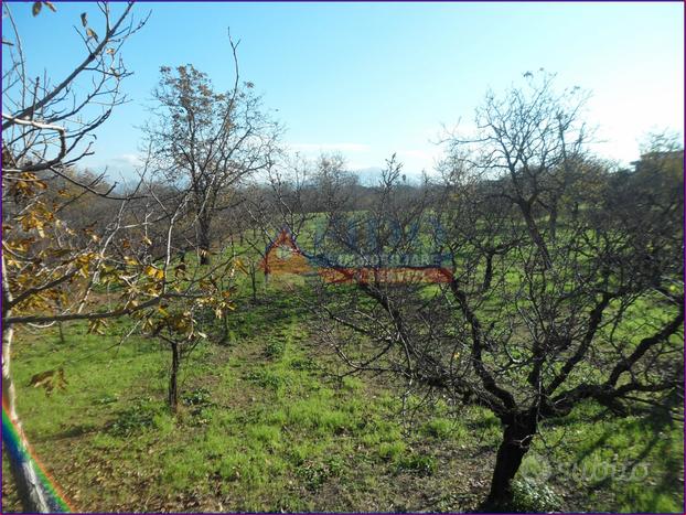 Terreno agricolo di 6.241 mq con doppio ingresso