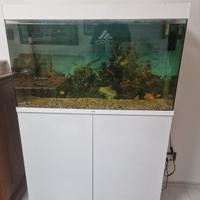 Acquario Nuovo 250 litri 