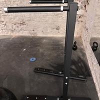 Dip station pro LACERTOSUS