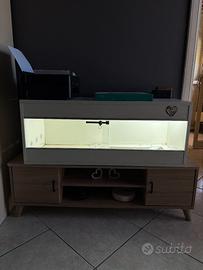 Terrario per rettili