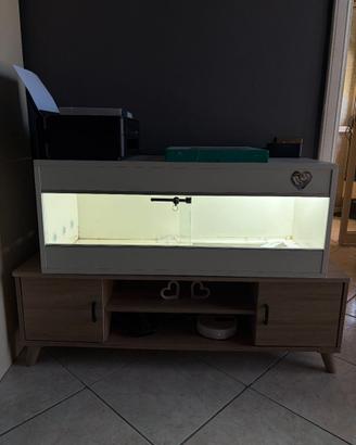 Terrario per rettili