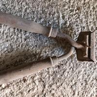 tosatrice tosa pecore cavalli antica