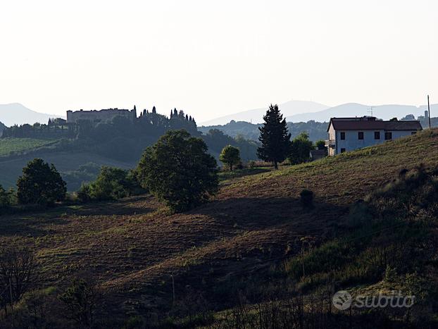 Azienda agricola con casale e terreno di 28,5 Ha