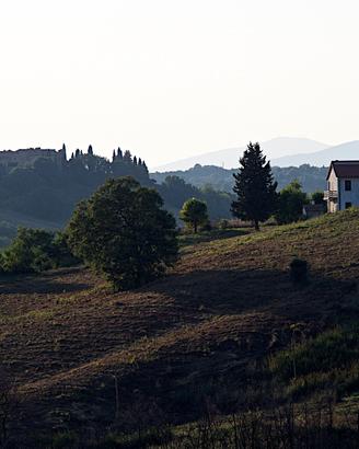 Azienda agricola con casale e terreno di 28,5 Ha