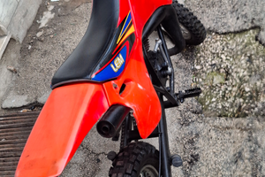 Lem franco morini italiano