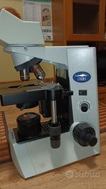Microscopio professionale OLIMPUS CX 31
