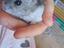 Immagine 4