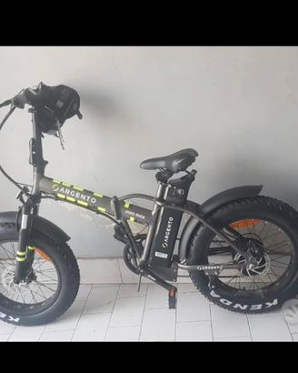 Bici elettrica Argento