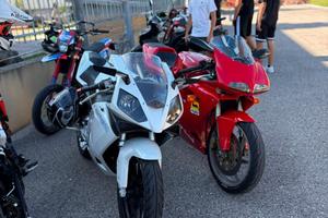 derbi gpr 50