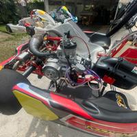 Go kart 125 maranello RS10 motore sreamer 2