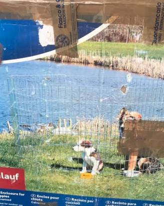 Recinto richiudibile per cani