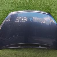 COFANO ANTERIORE FORD C - Max Serie (07>10)
