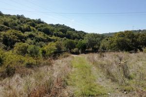 Terreno agricolo-seminativo zona Zanfone