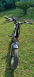 bicicletta elettrica fat