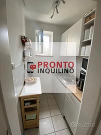 Bilocale ristrutturato Brugherio