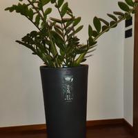 vaso Vasar tondo h70