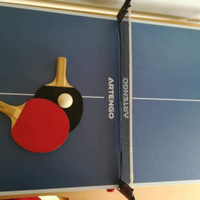 Mini tavolo ping pong