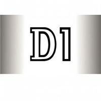 Libro Manuale Istruzioni Nikon D1 DIH D1X D100