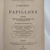 L'amateur de papillons
