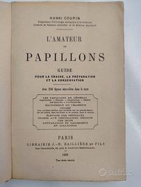 L'amateur de papillons