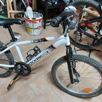 Bicicletta da bambini 