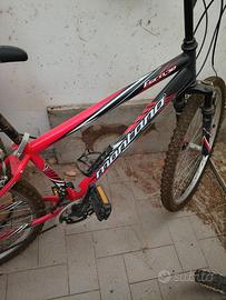 Bicicletta Montana