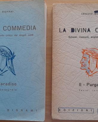Due libri La Divina Commedia (Purgatorio-Paradiso)