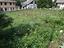 Immagine 26