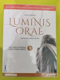 Lumini orae