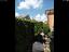 Immagine 11