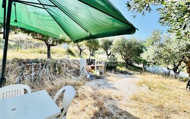 Terreno di 7830MT con 50 piante d'ulivo adiacenze