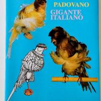 Canarini arricciati pesanti