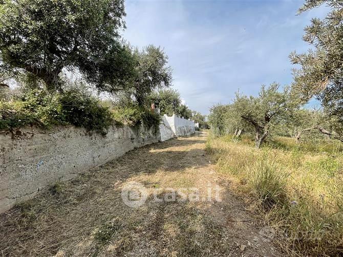 Terreno edificabile s. saba - Vista 2