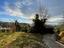 Immagine 27