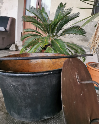 Paiolo Antico in rame con coperchio