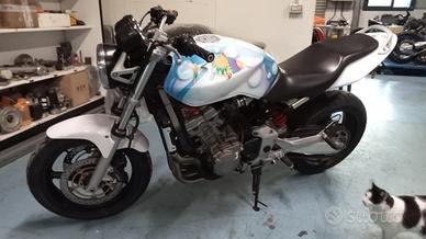 Hornet 900