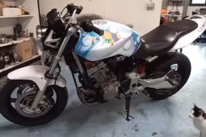Hornet 900
