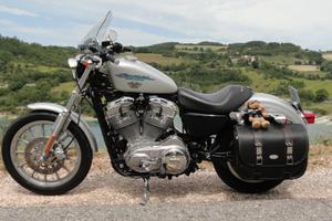 Harley Davidson 883XL