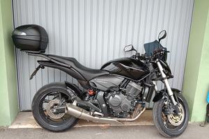 Honda Hornet 