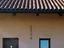 Immagine 15