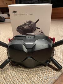 Dji Goggles v2