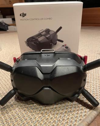 Dji Goggles v2