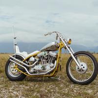 Harley-Davidson Sportster 1200 - 2023