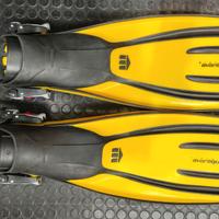 Pinne sub Mares